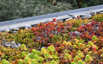 the cost of Tirley Knowle green roof installation