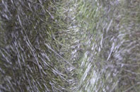 Tirley Knowle fibreglass roof work